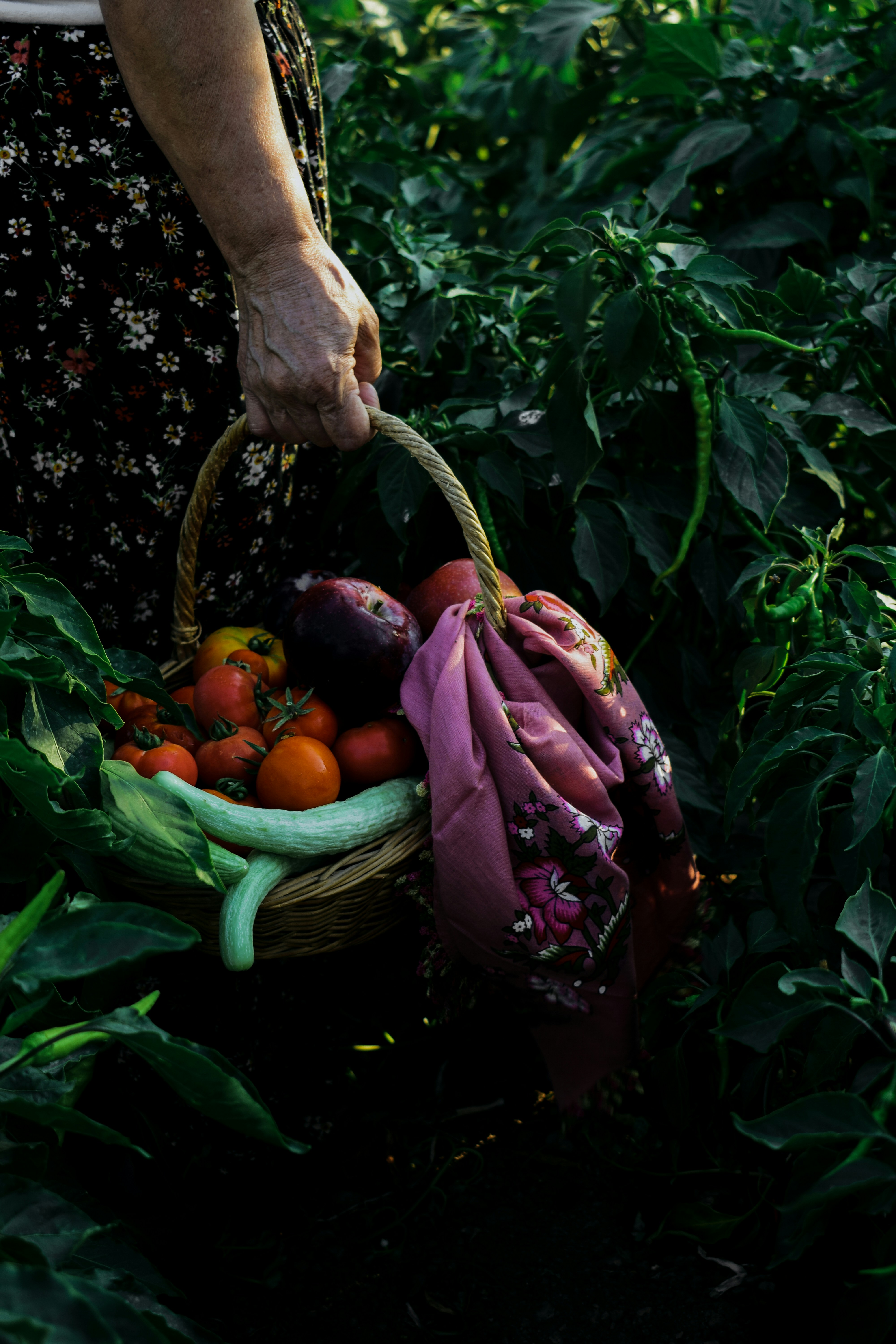 Raccolto di verdure fresche in un orto